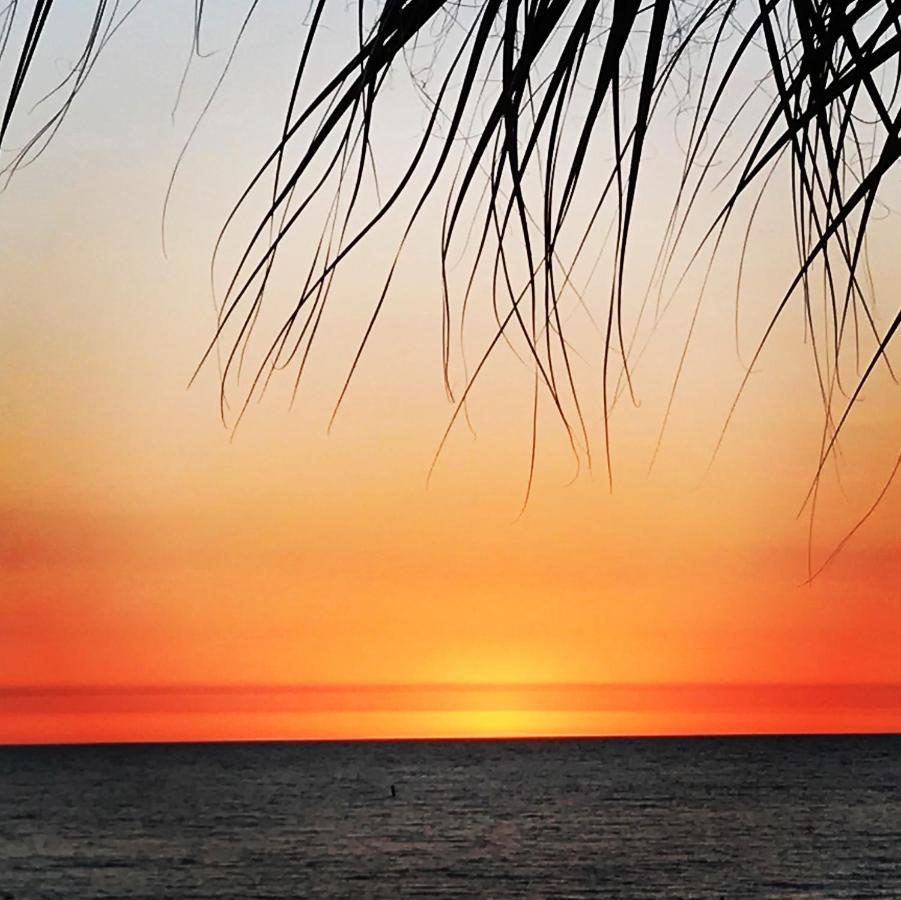 515 Madeira Norte Condo St. Pete Beach Dış mekan fotoğraf